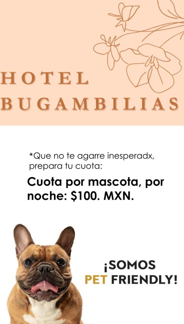 Hotel Bugambilias Oaxaca Buitenkant foto
